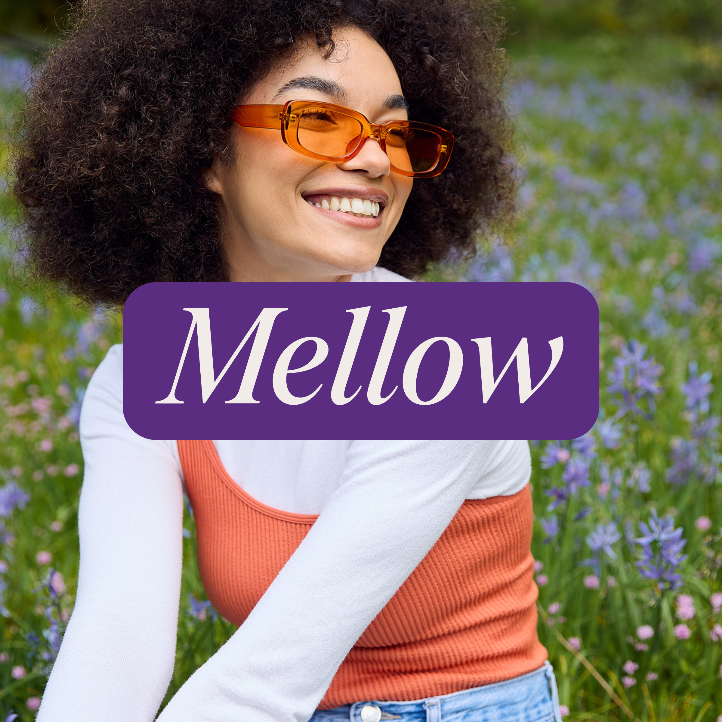Marionberry Indica THC | Mellow - Wyld 10mg THC lifestyle