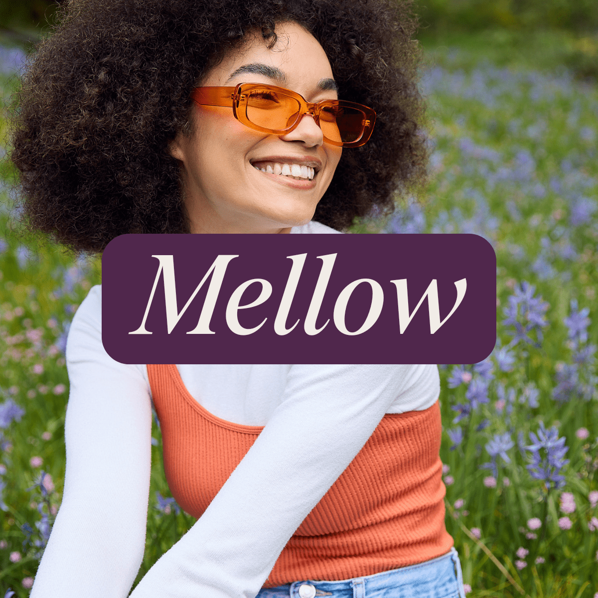 Blackberry Lemon THC Sparkling Water | Mellow - Smoke Shop Go